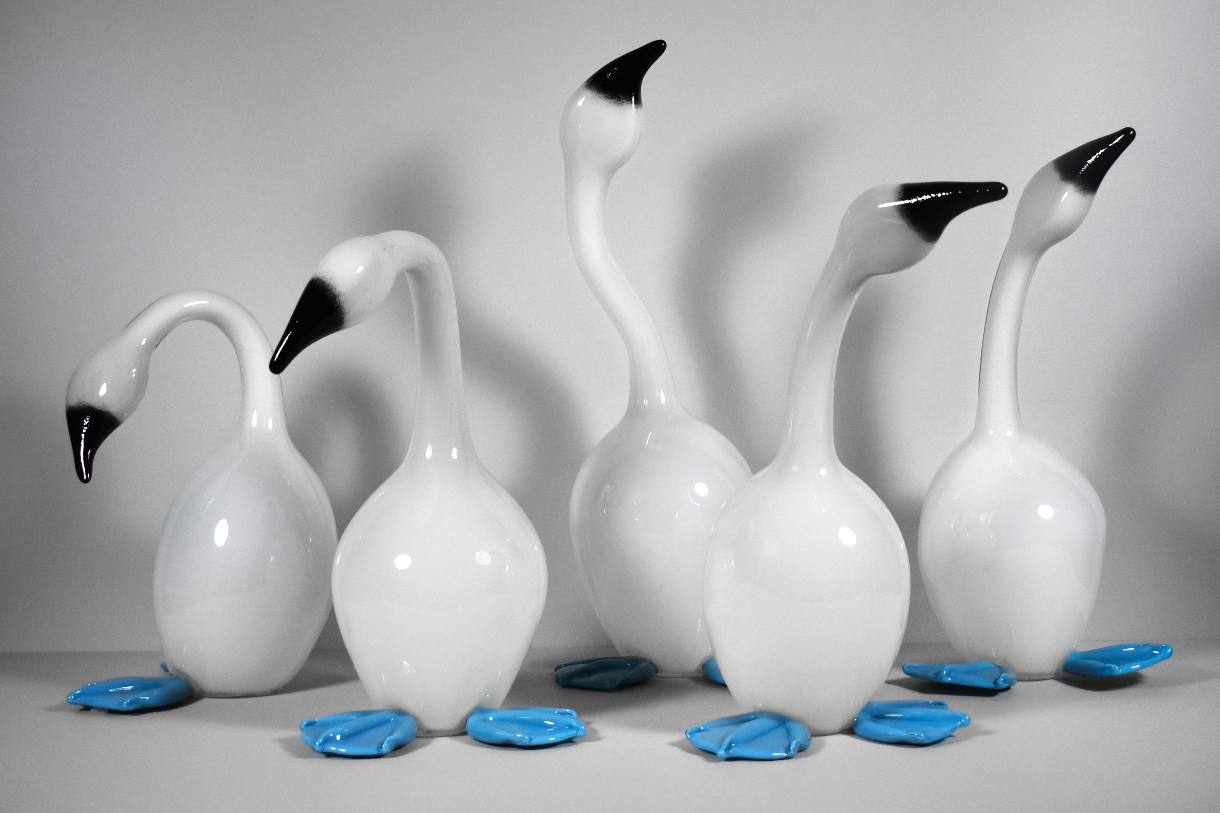  Erich Woll (American, born 1970).&nbsp; Mistakes Will Be Made (Blue-Footed Boobies) , 2014.&nbsp;Hot-sculpted glass.&nbsp;Collection of Museum of Glass, Tacoma, Washington, Gift of the artist. Photo by Mark Aimerito. 